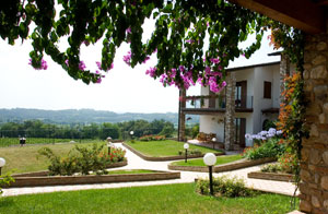 Il Residence costruito vicino al lago di Garda è immerso in uno splendido contesto verde. Un meraviglioso giardino circonda la costruzione.